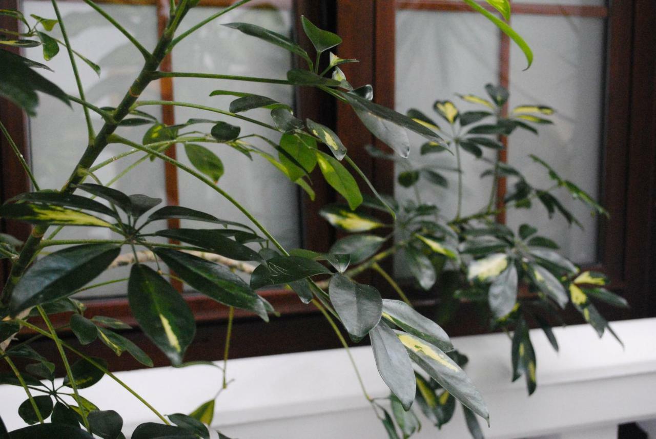 Hostal Costa De La Luz 콘일데라프론테라 외부 사진