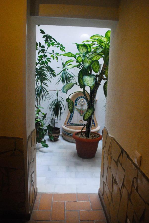 Hostal Costa De La Luz 콘일데라프론테라 외부 사진